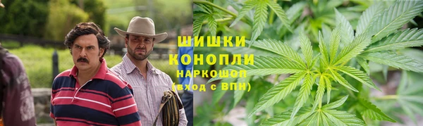spice Алзамай