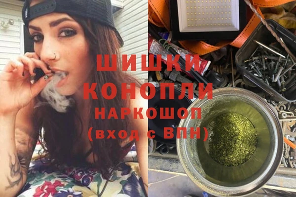 spice Алзамай