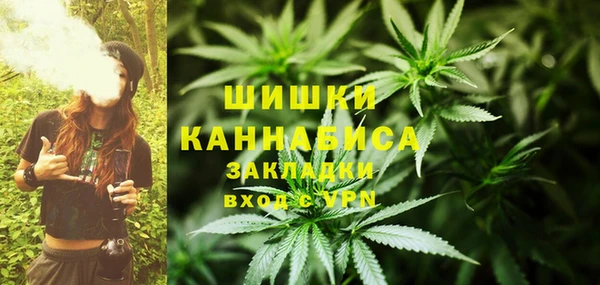 прущие грибы Лихославль