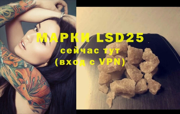 spice Алзамай