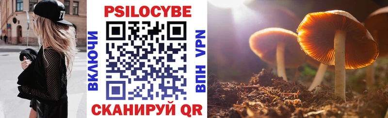 где можно купить наркотик  ссылка на мегу ссылка  Галлюциногенные грибы Magic Shrooms  Оса 
